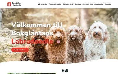 bokglantanslabradoodle.com snapshot