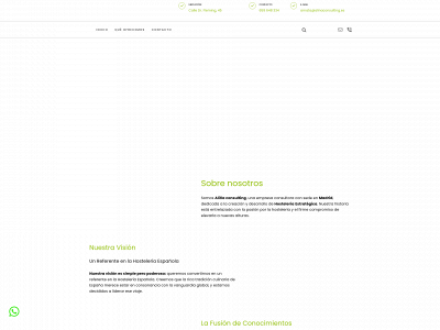 www.alinaconsulting.net snapshot