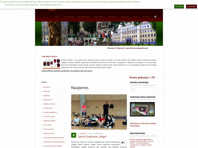 paltarokogimnazija.lt snapshot