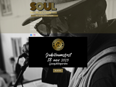 soulinjection.se snapshot