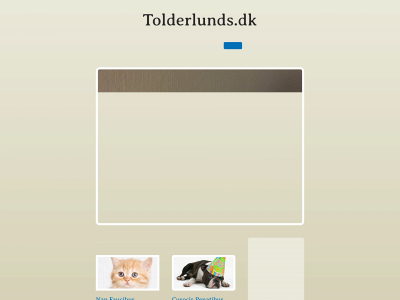 tolderlunds.dk snapshot