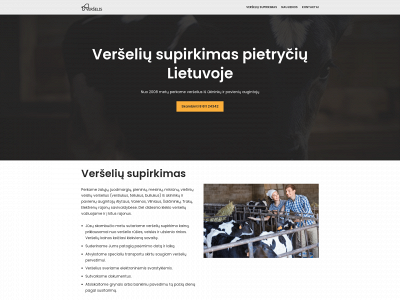 verselis.lt snapshot