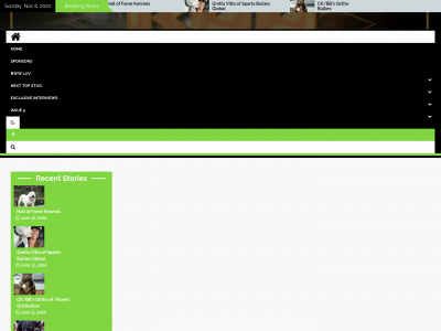 bwwmag.com snapshot