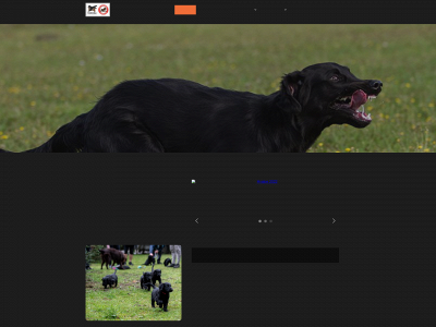 tanima.dk snapshot