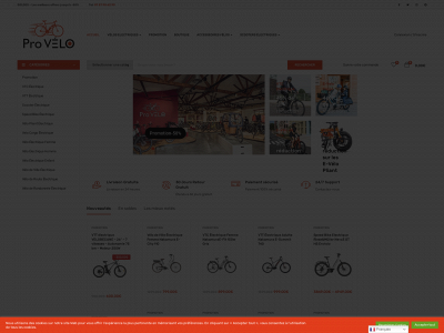 electrique-velo.com snapshot