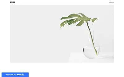 links-probtoons.weebly.com snapshot
