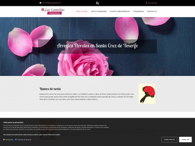 www.floristerialascamelias.com snapshot