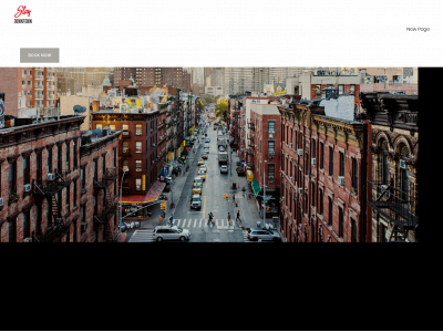 staydowntown.com snapshot