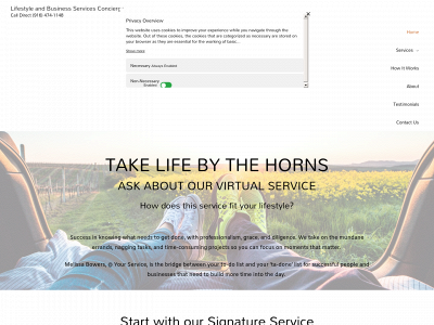 mb-atyourservice.com snapshot