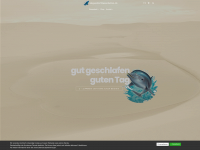 wasserbett.li snapshot