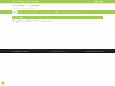 runic4dta.com snapshot