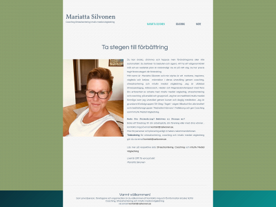 asilvonen.se snapshot