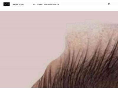 markingbeautybrows.nl snapshot