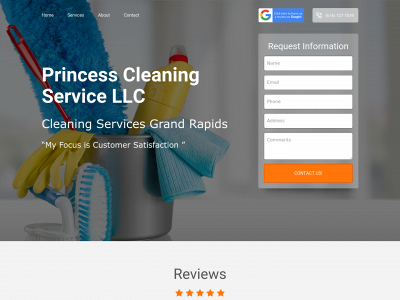 princesscleans.com snapshot