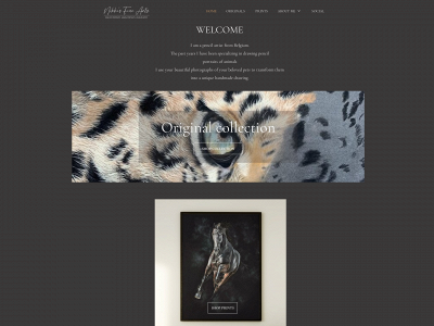 nikkisfinearts.com snapshot