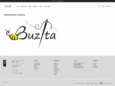 buzita.lt snapshot