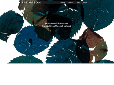 fineartscan.dk snapshot