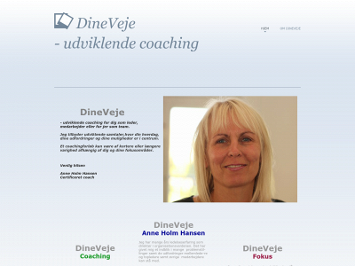 dineveje.dk snapshot