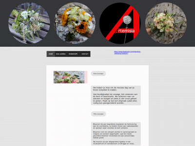 artemisiabloemen.be snapshot