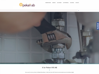 pekan.se snapshot
