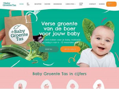 babygroentetas.nl snapshot