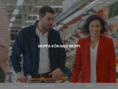 skippi.se snapshot