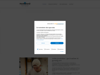 hodneland.as snapshot