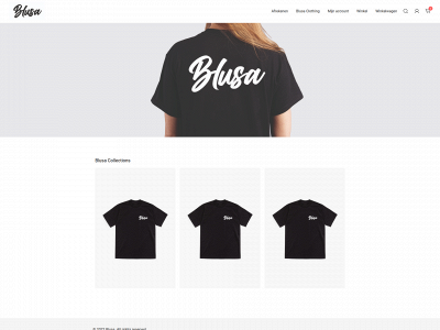 blusaclothing.com snapshot