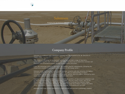 salemsen.com snapshot