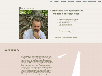 aijobmentor.dk snapshot