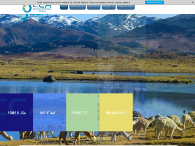 cca.org.pe snapshot