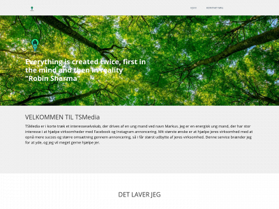 tsmedia.dk snapshot