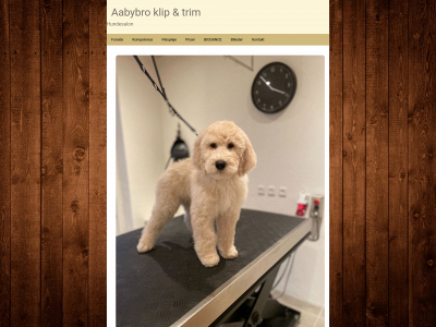 aabybroklipogtrim.dk snapshot
