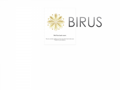 birus.lt snapshot