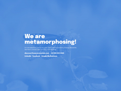 fii.uvs.mybluehost.me snapshot