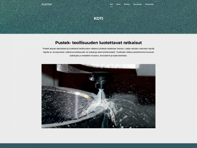 pustek.fi snapshot