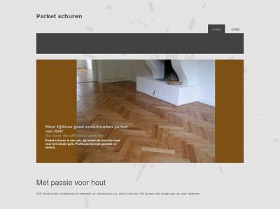 parketschuren.info snapshot