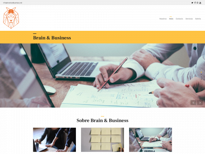 brainandbusiness.net snapshot