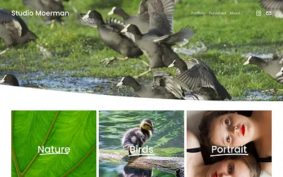 studiomoerman.com snapshot
