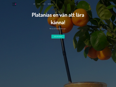 destinationplataniasblog.com snapshot
