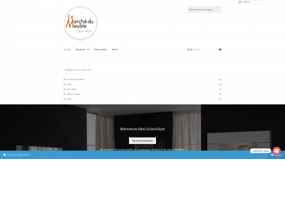 lemarchedumeuble.com snapshot