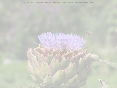 art-i-shock.be snapshot