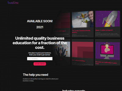 busilinc.com snapshot