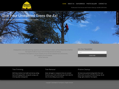 beehivetrees.com snapshot