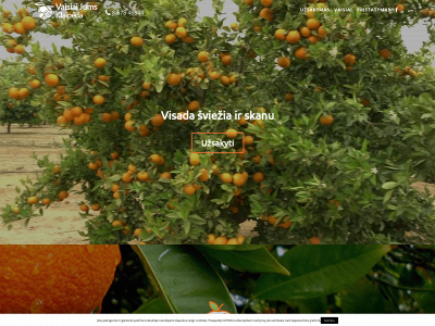 vaisiaijumsklaipeda.lt snapshot