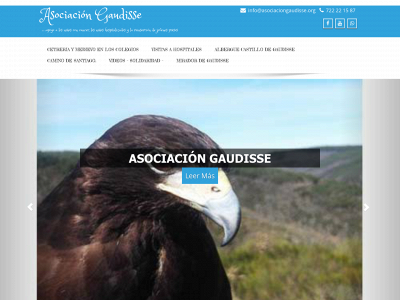 asociaciongaudisse.org snapshot