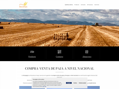 recopaja.es snapshot