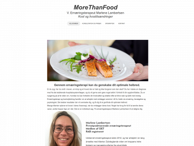 morethanfood.dk snapshot