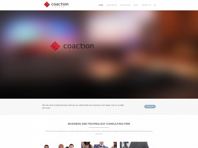 coactiongroup.com snapshot
