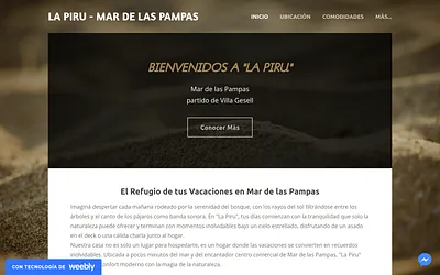 lapiru.weebly.com snapshot
